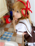 楓帳 -かえでちょう cosplay套图 (C79) (1)(28)