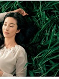 李冰冰特大写真套图(15)