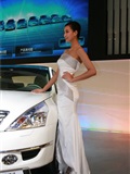 2011海西汽车博览会美女车模(25)